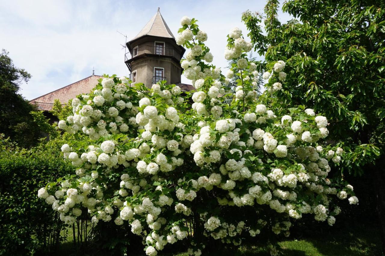 Chateau Du Vigny - Maison D'Hotes Saint-Michel-de-Maurienne Eksteriør billede